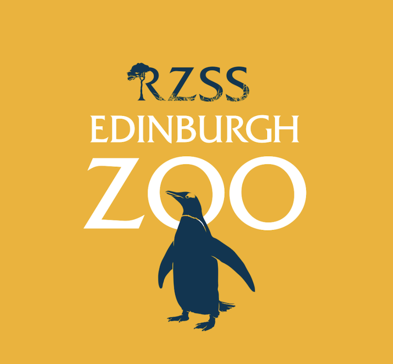Edinburgh Live Web Cams