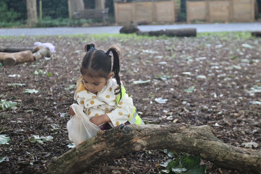 A girl is collecting natural resources in the woods during forest school