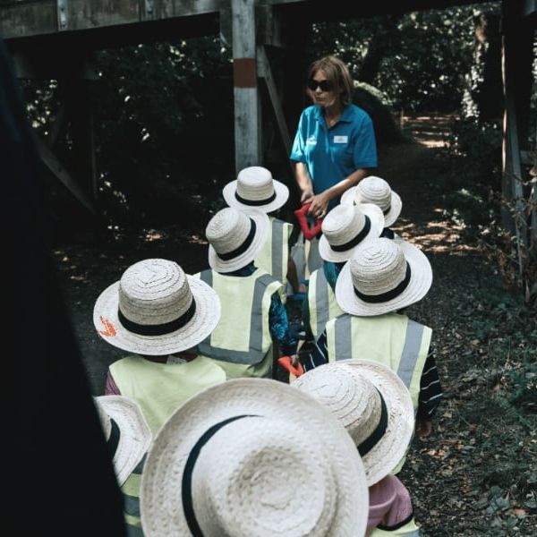 An adult leads a group of children through the woods