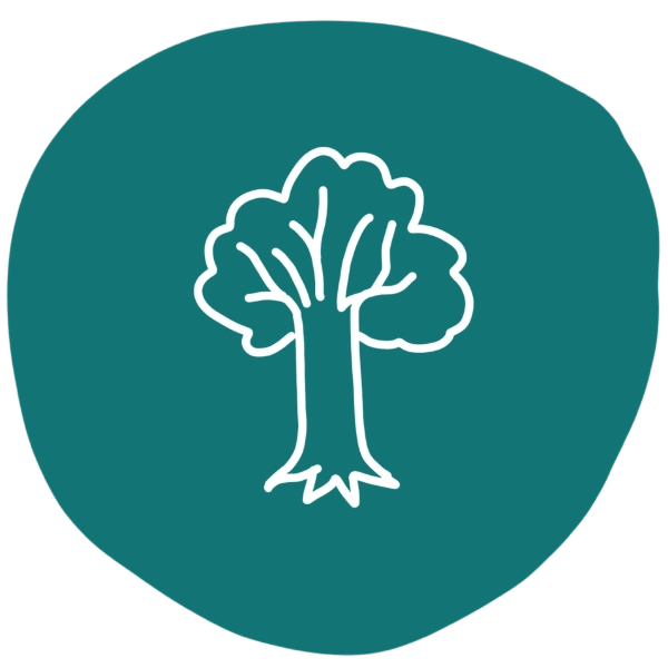 Forest School
